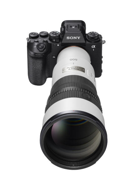 Sony FE 600mm f6.3 GM OSS
